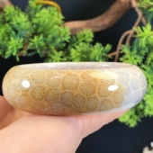 一博珊瑚玉天然小彩花手镯女时尚 项饰品2023年轻少女新款 婚礼精品