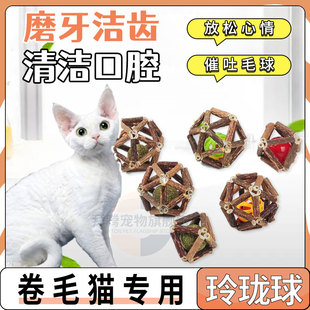 德文卷毛猫专用耐啃咬互动猫咪玩具猫薄荷木天蓼玲珑球磨牙逗猫棒