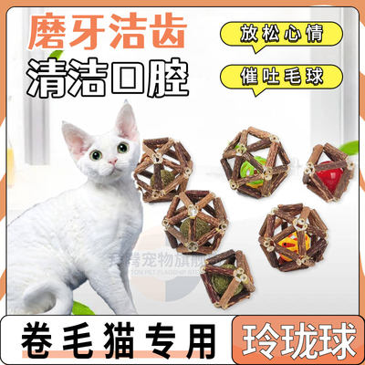 德文卷毛猫专用耐啃咬互动猫咪玩具猫薄荷木天蓼玲珑球磨牙逗猫棒