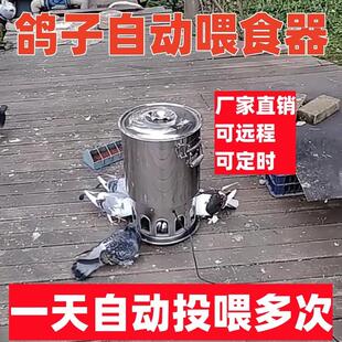 式 新款 喂食器鸽粮鸽用远程全器桶津羽王定时智能投食信鸽赛鸽鸡自