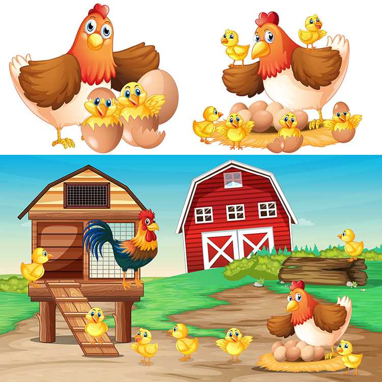 母鸡孵小鸡ai矢量图案 可爱卡通母鸡下蛋 牧场插画背景 设计素材