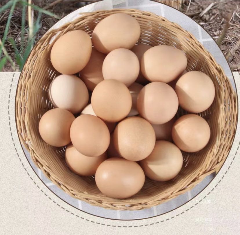 孟良崮高山纯粮散养土鸡蛋五十枚粉壳顺丰包邮