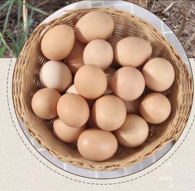 孟良崮高山纯粮散养土鸡蛋五十枚粉壳顺丰包邮