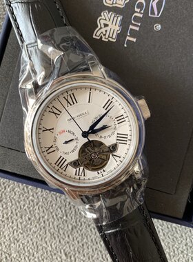 海鸥飞轮手表自动机械