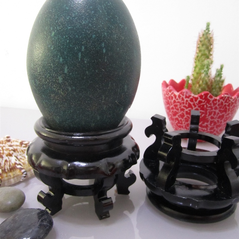 鸵鸟蛋壳底座鸸鹋驼鸟蛋壳蛋托蛋雕工艺品水晶球葫芦石球托包邮