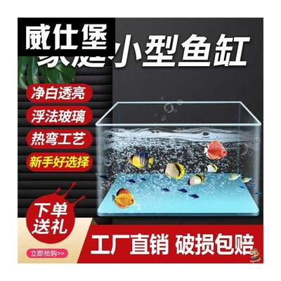 热弯浮法玻璃鱼缸客厅小型一体式成型钢化儿童鱼缸观赏家庭用鱼缸