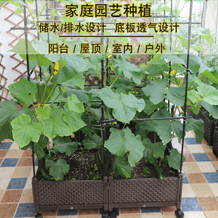 种植箱阳台西红柿黄瓜爬藤塑料家庭种菜盆辣椒菜槽长方形塑料花盆