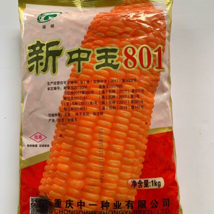 重庆中一种业 新中玉801玉米种子 高产 纯度高