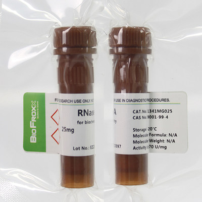 BioFroxx 1341MG025/100mg  核糖核酸酶A RNase A