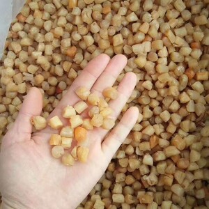 福建海鲜干货干贝500克中小