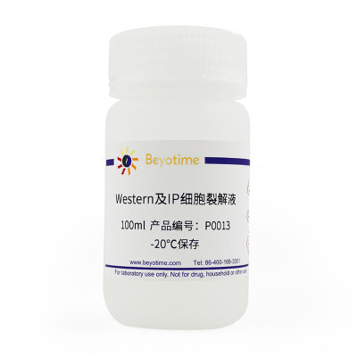 碧云天 Beyotime  P0013 100ml Western及IP细胞裂解液