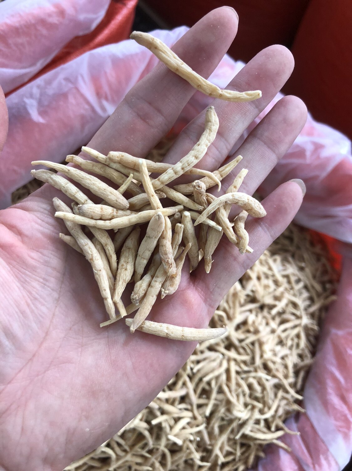 太子参500g孩儿参天然无硫中药材特级儿童煲汤泡水中草药包邮