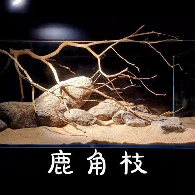 。鹿角枝杜鹃枝沉木原生南美鱼缸造景枯木软装天然树枝插花壁挂摆