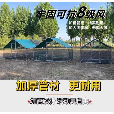 养鸡跑道隧道养殖溜达鸡走地鸡专用的跑道笼子散养鸡户外室外耐用