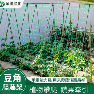 豆支撑杆丝瓜菜园架子阳台种菜藤架 豆角爬藤架植物攀爬架黄瓜四季