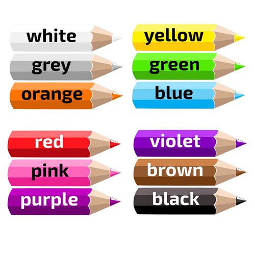 color pencils颜色教学卡片英语教具