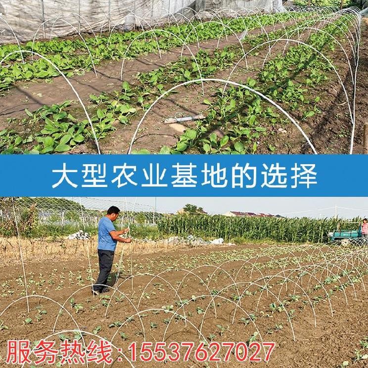 菜园棚架蔬菜棚拱杆庭院大棚骨架定制简易温Q棚支架镀锌管果棚架