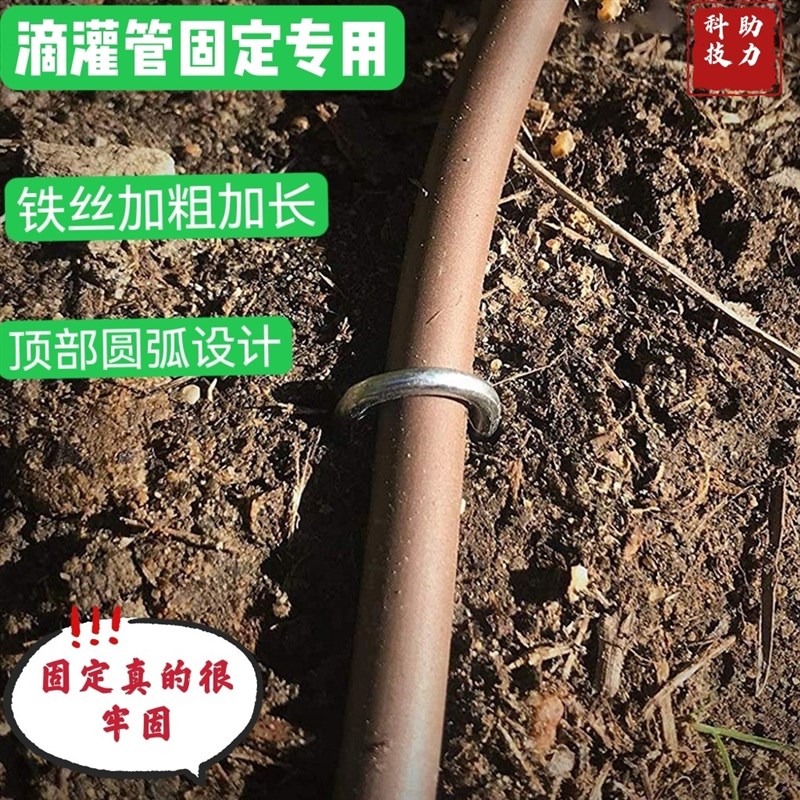 滴灌管铁丝卡子固定器地钉加粗镀锌草坪大棚实用园艺工具订制热卖