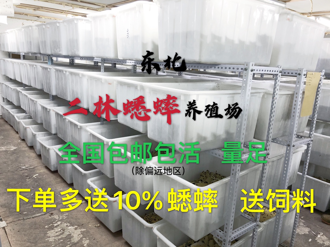 快递补差价，提前一天告知、不接急件