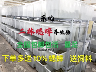 快递补差价，提前一天告知、不接急件
