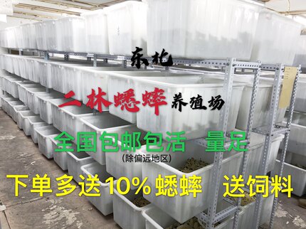 快递补差价，提前一天告知、不接急件