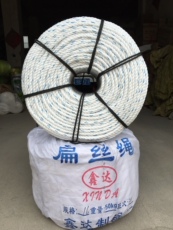 Веревка/Rope 包邮捆扎绳打包绳塑料绳子扁丝绳封车绳捆绑绳缆绳清粪机绳搬运绳