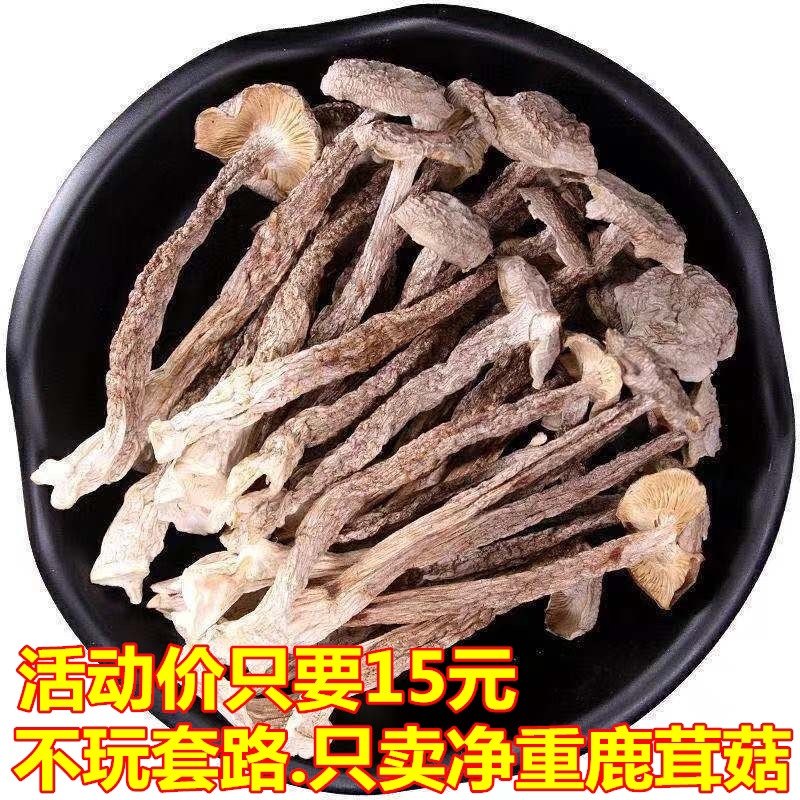 精选干货鹿茸菇100g250g500g鹿茸菌煲汤食材食用菌菇正品产地包邮