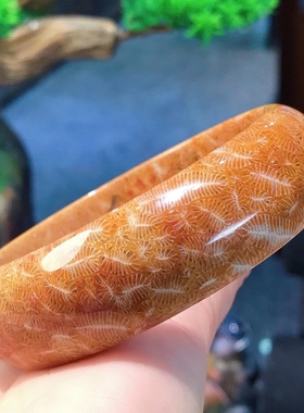 珊瑚玉天然标本少女风婚礼手镯