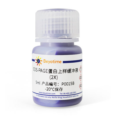 碧云天 Beyotime P0015B 5ml SDS-PAGE蛋白上样缓冲液(2X)