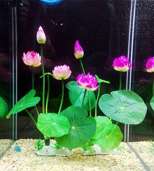 鱼缸里的装饰品植物花浴缸防真荷花假水草造景套餐水族馆仿真莲花