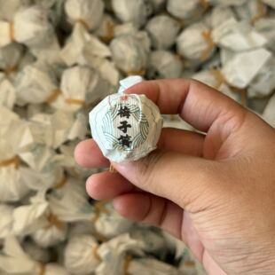 2026年梅子箐挑采普洱茶生茶 8克手工龙珠 古树生茶 鲜甜茶气足