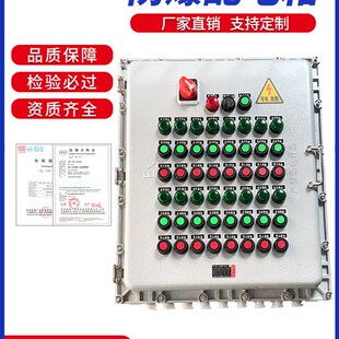 防爆配电箱控制箱不锈钢防爆触摸屏配电柜仪表接线检修照明插座箱