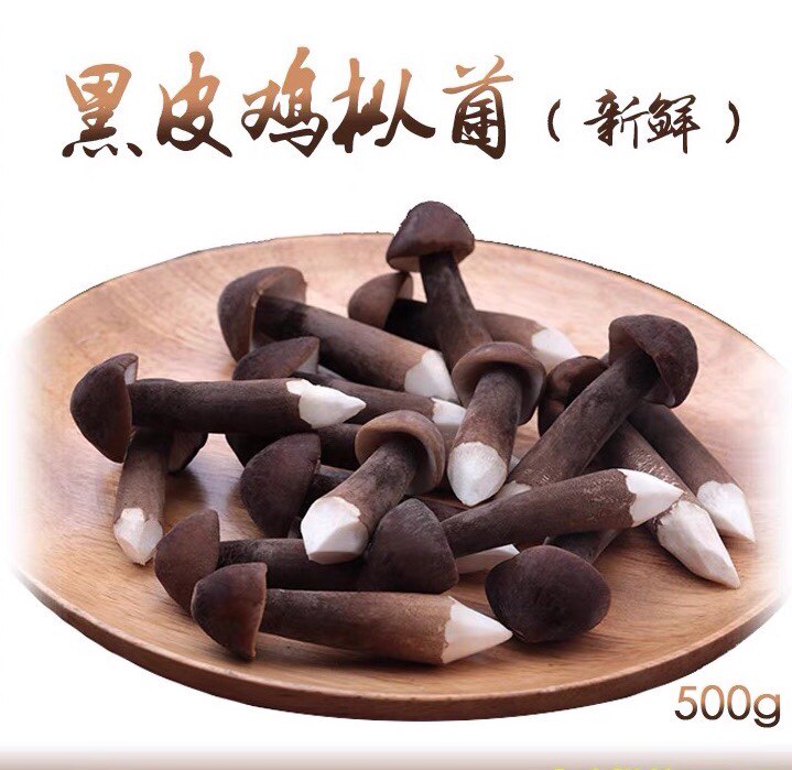 新鲜a级黑皮鸡枞菌新鲜菌菇鲜蘑菇食用鸡棕菇荔枝野生菌特产500g