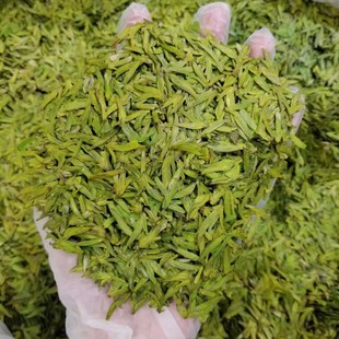 2025年新茶早春龙井豆香味浓嫩芽250克3月25发完顺丰 新茶现货