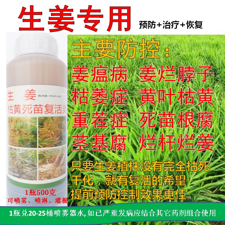 生姜枯黄死苗复活灵控茎基腐病