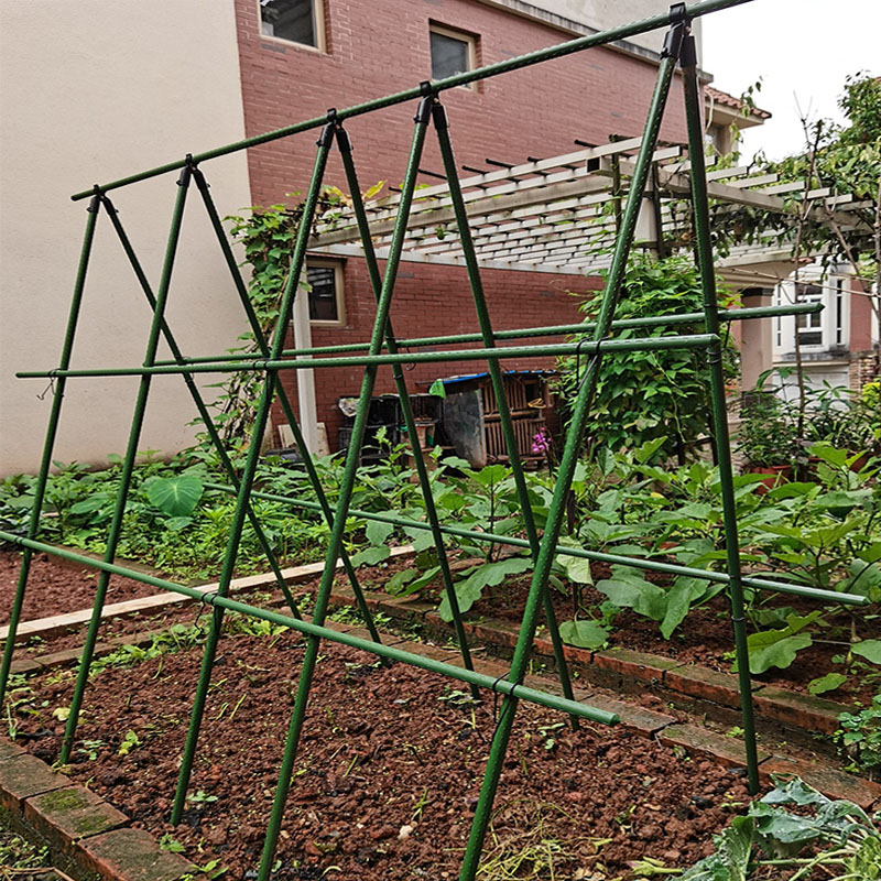 黄瓜爬藤架豆角架杆西红柿架种菜蔬菜搭棚子架植物支撑杆包塑钢管