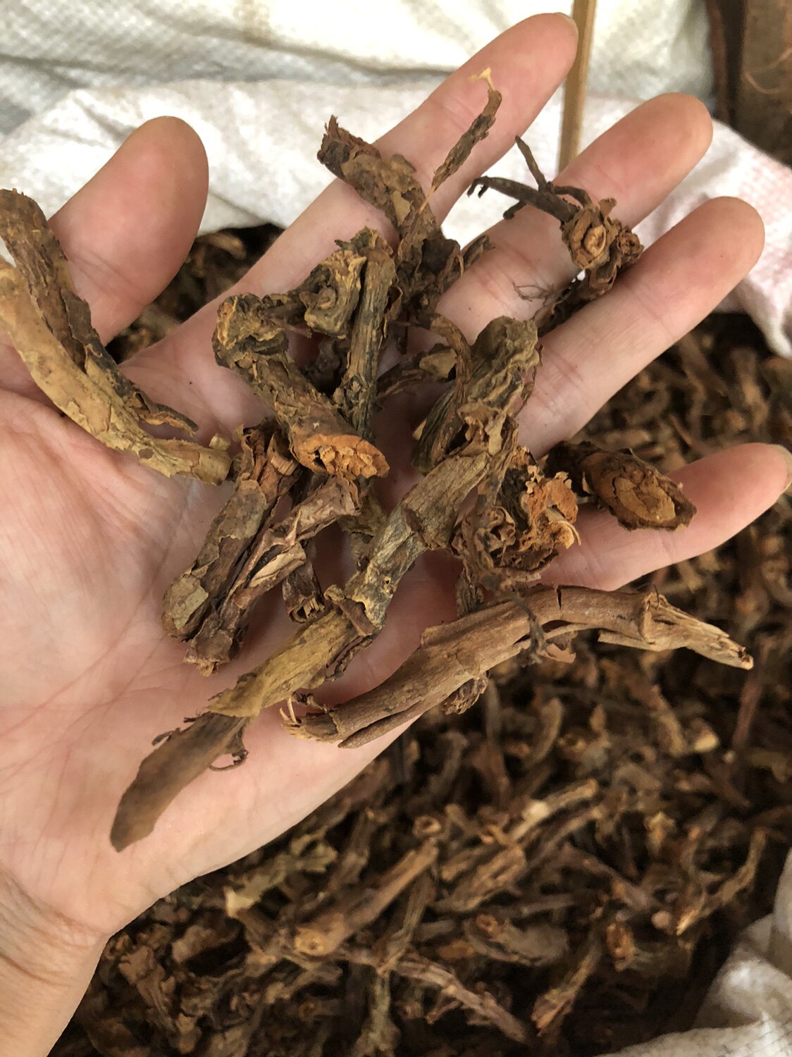 麒麟竭山麒麟500克干货中药材红药玉麒麟海蜡麒麟血泡酒材料