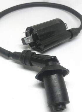 力帆摩托KPT200KPS200LF200-10L200-10RV16LF250-D高压包点火线圈