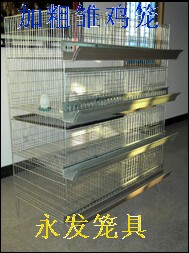 加粗加密小鸡笼 育雏笼 雏鸡笼 网 立式小鸡育肥笼子  养殖保温笼