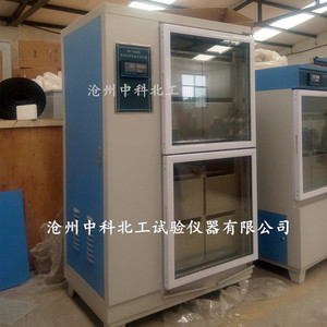 水泥胶砂试体养护箱 养护箱 水泥试块养护水槽 立式水泥水养护箱