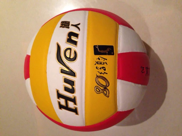 Ballon de volley - Ref 2008037 Image 1