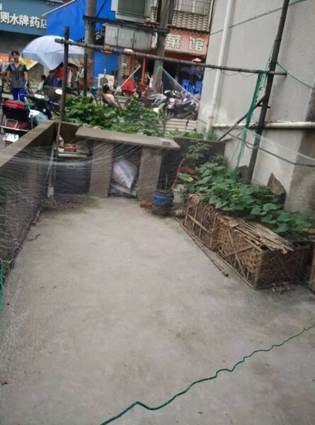 尼龙丝搬筝搬针绍兴仰天筝凹兜钓鱼丝搬筝简易式搬筝