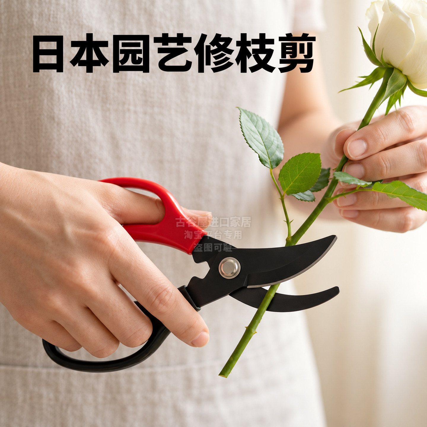 日本ECHO园艺剪刀家用省力修枝剪树枝养花卉种菜园鲜花店盆栽专用