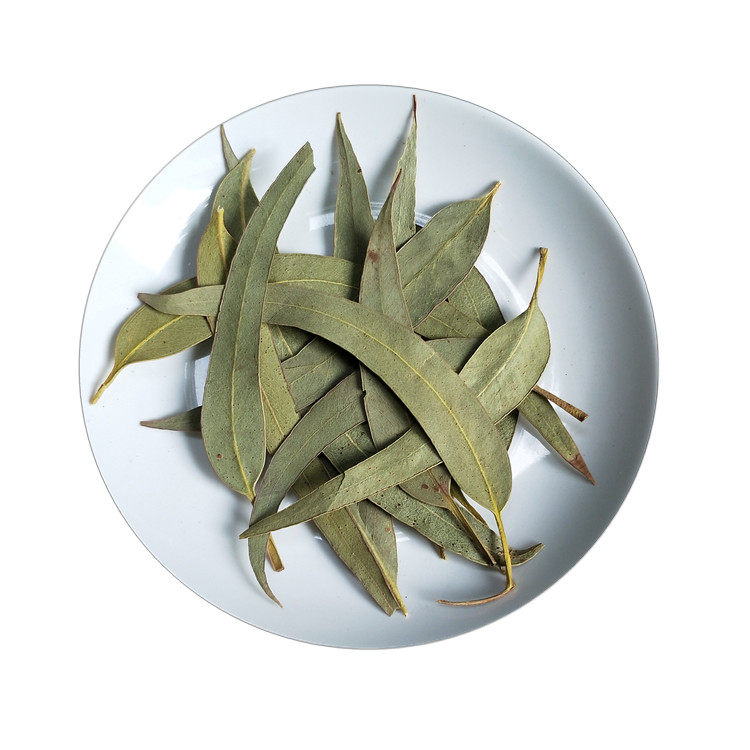 中药材桉树叶500g包邮小桉树大叶 按树叶 干尤加利树叶洗脸