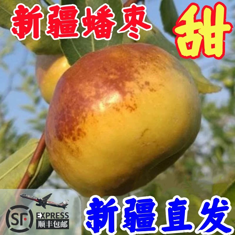 现摘新疆库尔勒蟠枣一级超大脆甜水果王礼盒顺丰空运新鲜当季孕妇