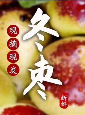 沾化冬枣现摘精品冬枣当季水果原产地果园直发脆甜多汁孕妇滨州产