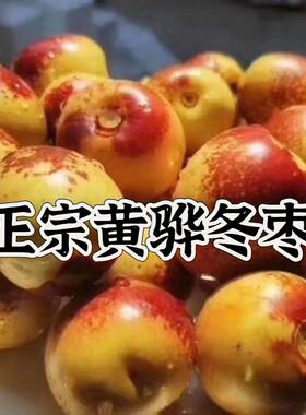 新鲜脆枣正宗黄骅冬枣鲜枣生吃脆甜红枣沾化沧州孔店现摘大果