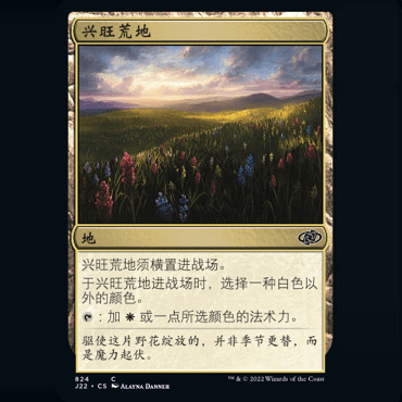 呆呆龙卡牌 万智牌 兴旺荒地 简中/英文 速战2022 j22