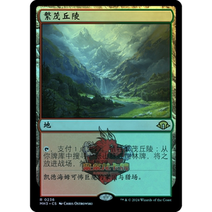 万智牌 闪 繁茂丘陵 日印 简中/英文/纪念 摩登新篇3 MH3 地 金