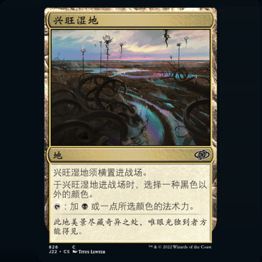 呆呆龙卡牌 万智牌 兴旺湿地 简中/英文 速战2022 j22